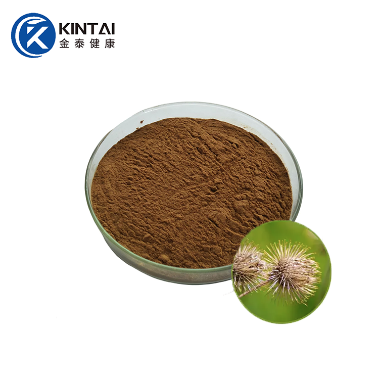 Estratt taż-Żerriegħa tal-Burdock Arctiin