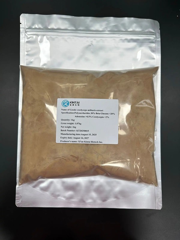 Cordyceps Mycelium Extract suppliers Cordyceps Mycelium Extract suppliers