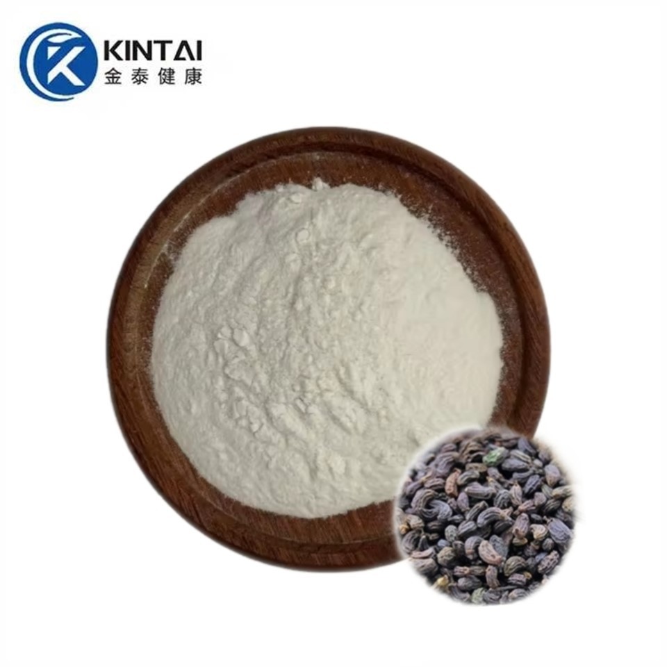 Estratt tal-Fructus Ligustri Lucidi