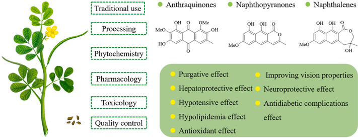 Total anthraquinones' effects Total anthraquinones' effects