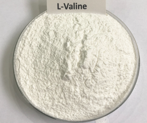 What Is L Valine? What Is L Valine?