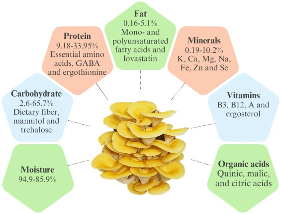 Pleurotus citrinopileatus extract benefits Pleurotus citrinopileatus extract benefits