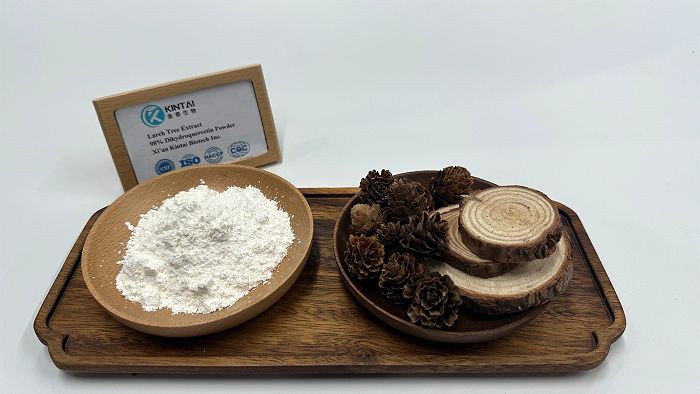 KINTAI Taxifolin(TAX) KINTAI Taxifolin(TAX)