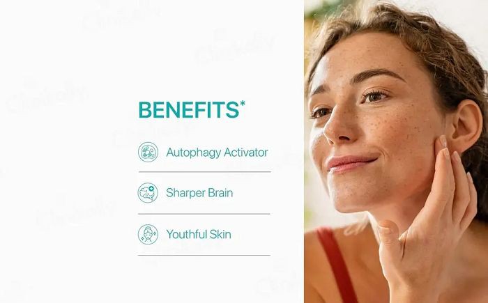 The Top 3 Skin Benefits of Spermidine The Top 3 Skin Benefits of Spermidine