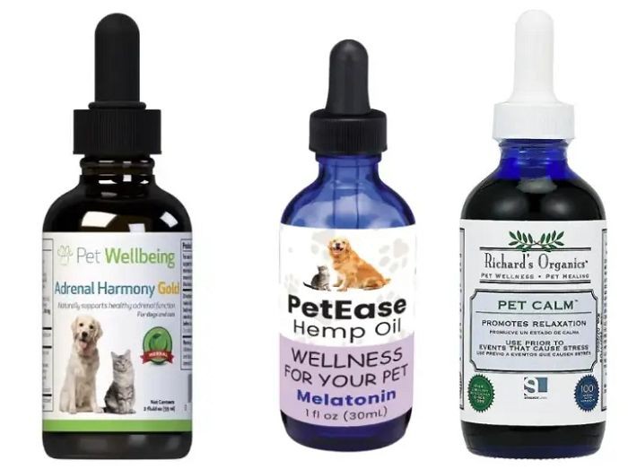 Melatonin Liquid Form Melatonin Liquid Form