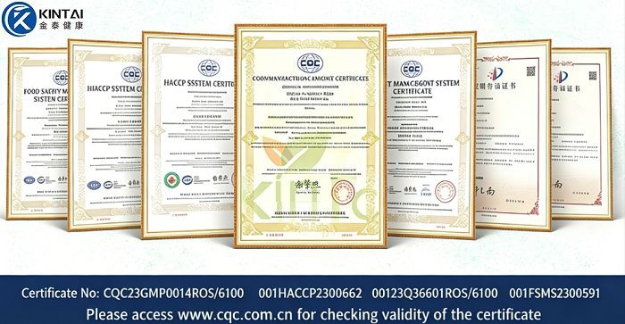 Our certifications Our certifications