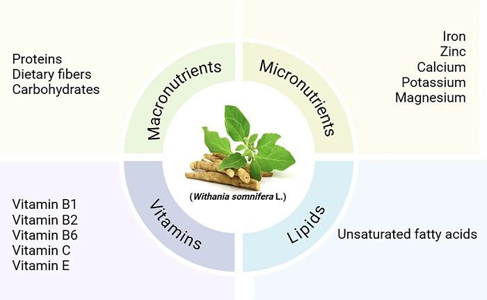 Ashwagandha benefits Ashwagandha benefits