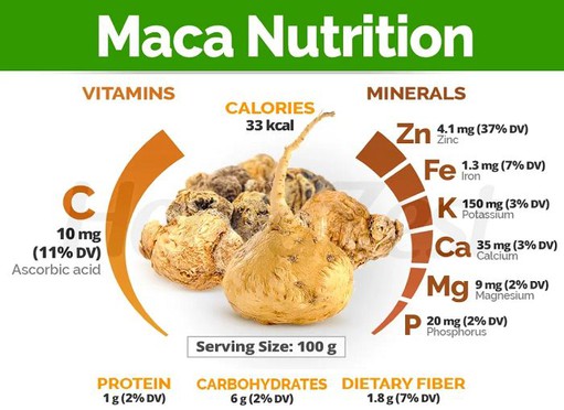 How Does Maca Extract Work for the Testosterone Level? How Does Maca Extract Work for the Testosterone Level?