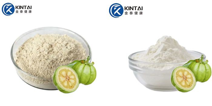 Garcinia cambogia extract powder Garcinia cambogia extract powder
