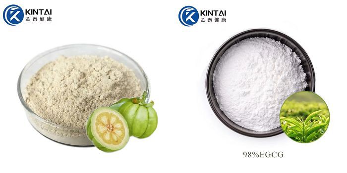 Garcinia Cambogia and Green Tea Extract Garcinia Cambogia and Green Tea Extract