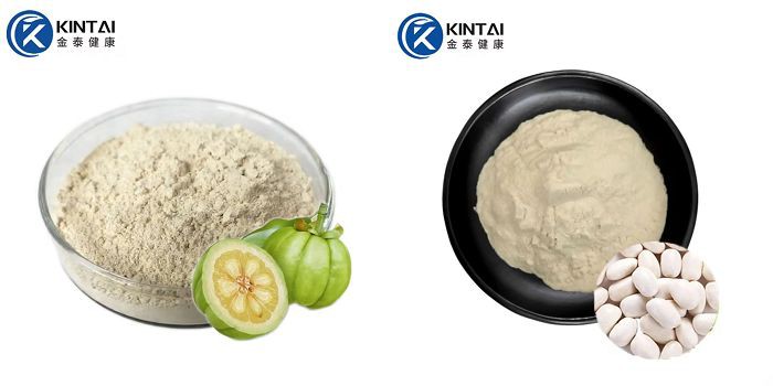 Garcinia Cambogia and White Kidney Bean Extract Garcinia Cambogia and White Kidney Bean Extract