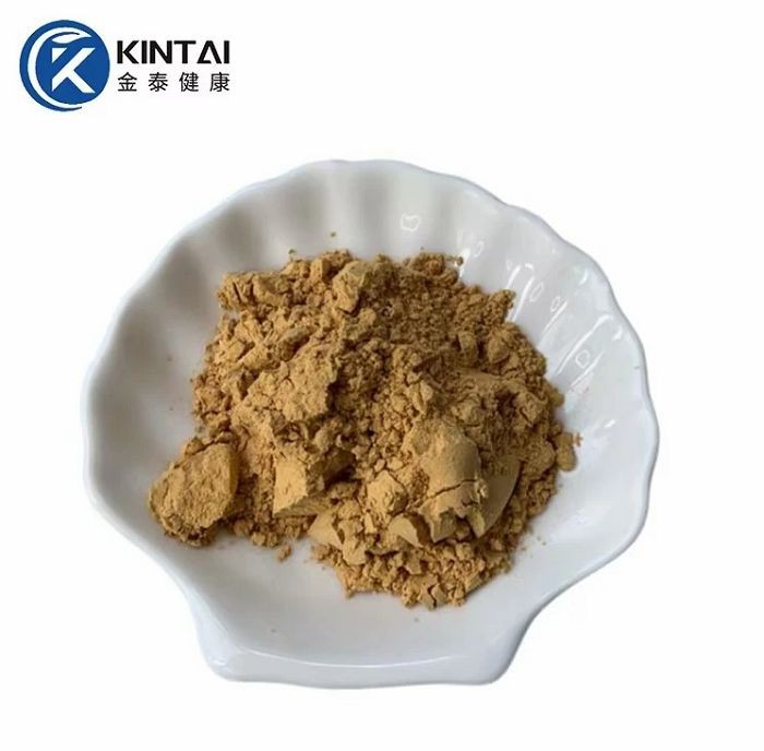 Agaricus blazei extract powder Agaricus blazei extract powder