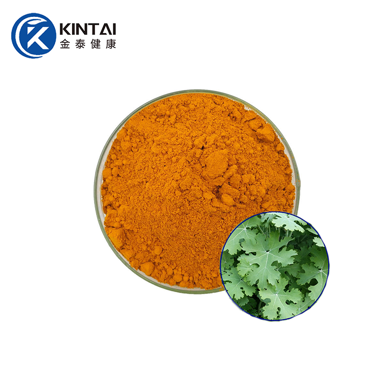 Macleaya Cordata Estratt