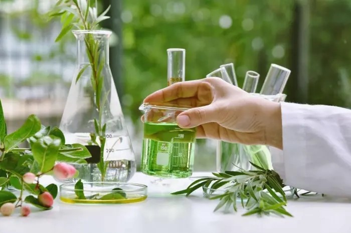 Why is Plant Extract Leading the Beauty Industry? Why is Plant Extract Leading the Beauty Industry?