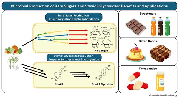 Is Stevia Leaf Extract Good for You? Is Stevia Leaf Extract Good for You?