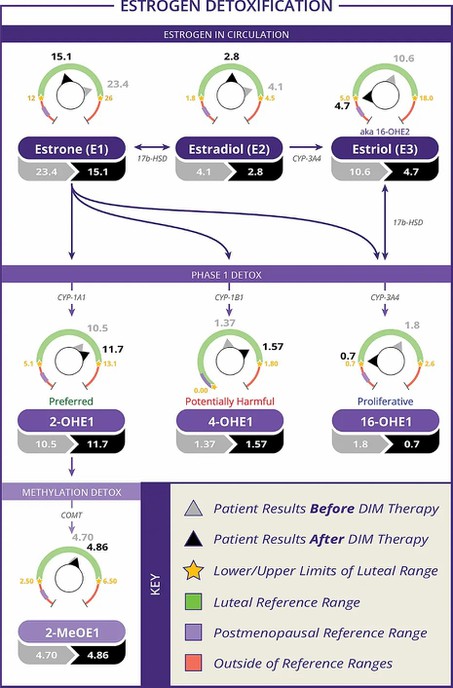Modulating estrogen metabolism effect Modulating estrogen metabolism effect
