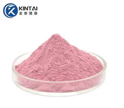 Acerola Cherry Extract Powder Supplier/Manufacturer/Factory Acerola Cherry Extract Powder Supplier/Manufacturer/Factory