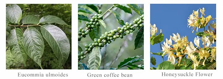 upload568e3b13bf99934131ece009f92288b5