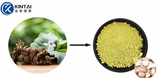 Kaempferol Powder Kaempferol Powder