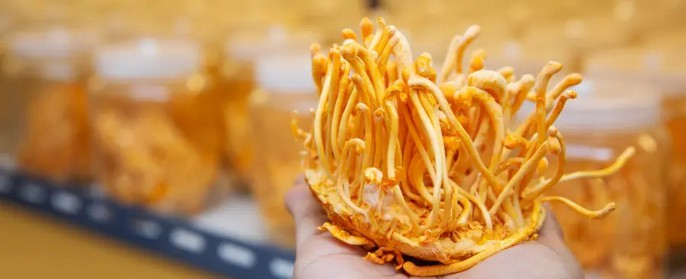 Health Foods and Functional Foods Health Foods and Functional Foods