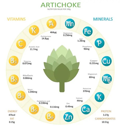 Artichocke Extract Dosage Artichocke Extract Dosage