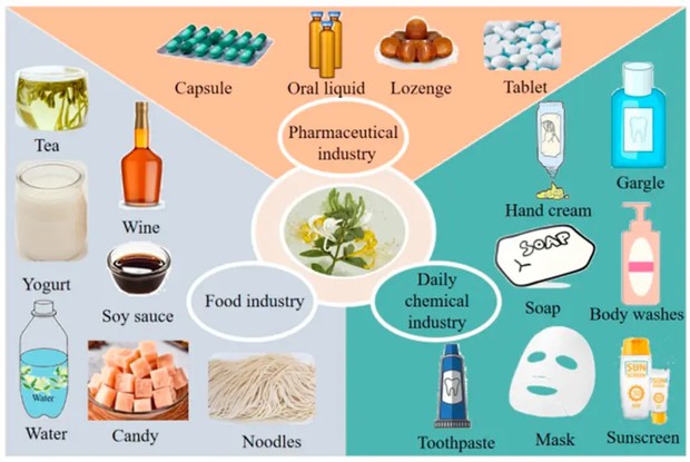 Lonicera Japonica Extract Uses Lonicera Japonica Extract Uses