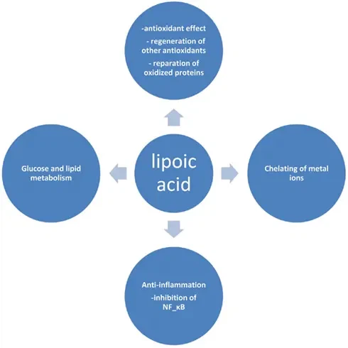 Alpha Lipoic Acid for diabetes Alpha Lipoic Acid for diabetes
