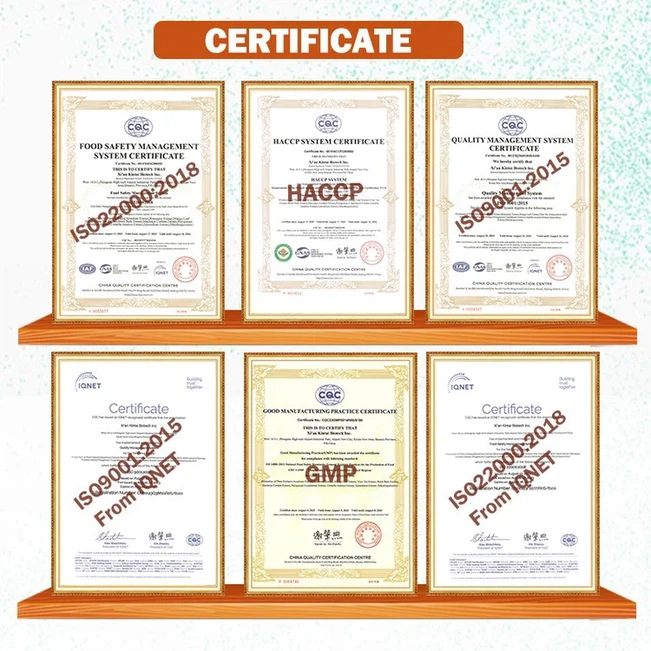 Our Certifications Our Certifications