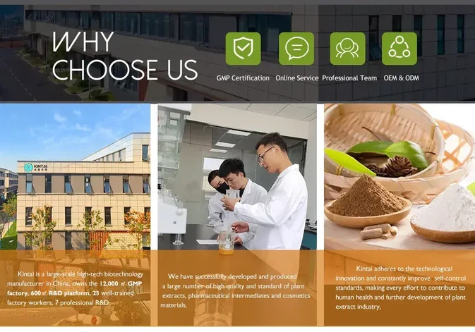 Our Advantages Our Advantages