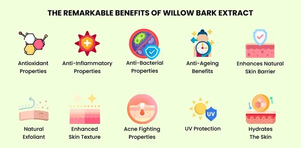 White Willow Bark Extract Benefits White Willow Bark Extract Benefits