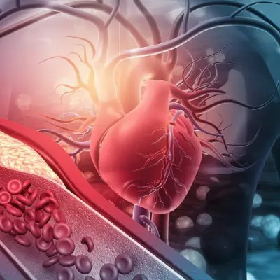 Ligustrazine Ligustrazine