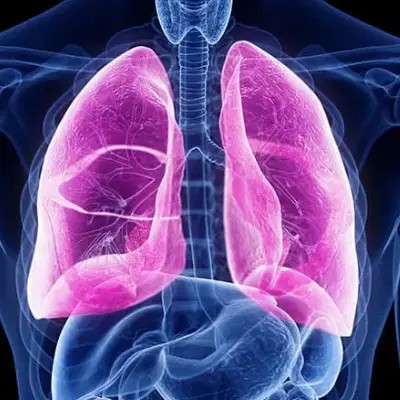 Ligustrazine For Cardiovascular Ligustrazine For Cardiovascular