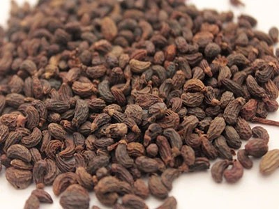 Fructus Ligustri Lucidi Extract Fructus Ligustri Lucidi Extract