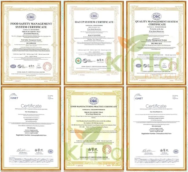 KINTAI Certifications KINTAI Certifications