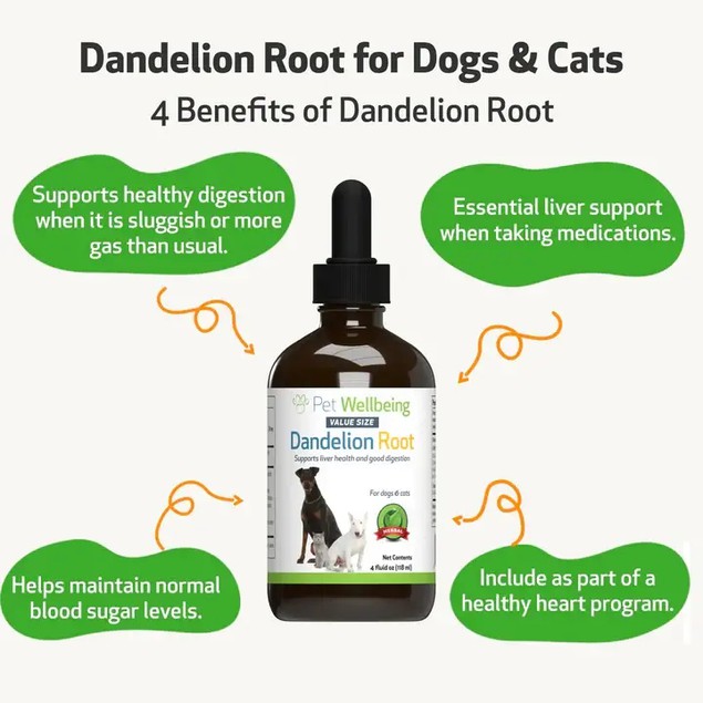 Dandelion Root Extract For Dog Dandelion Root Extract For Dog