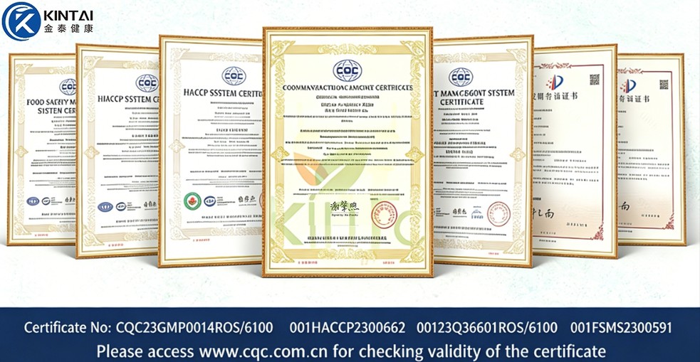 Our Certification Our Certification