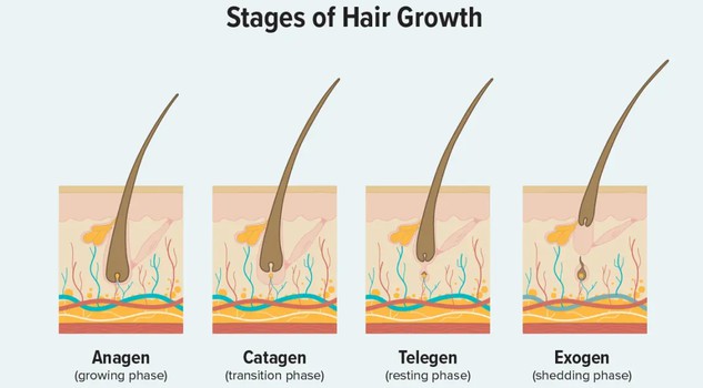 Piperine For Hair Piperine For Hair
