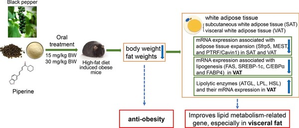Piperine For Weight Loss Piperine For Weight Loss