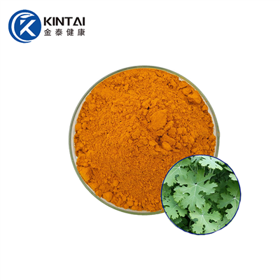 Macleaya Cordata Estratt