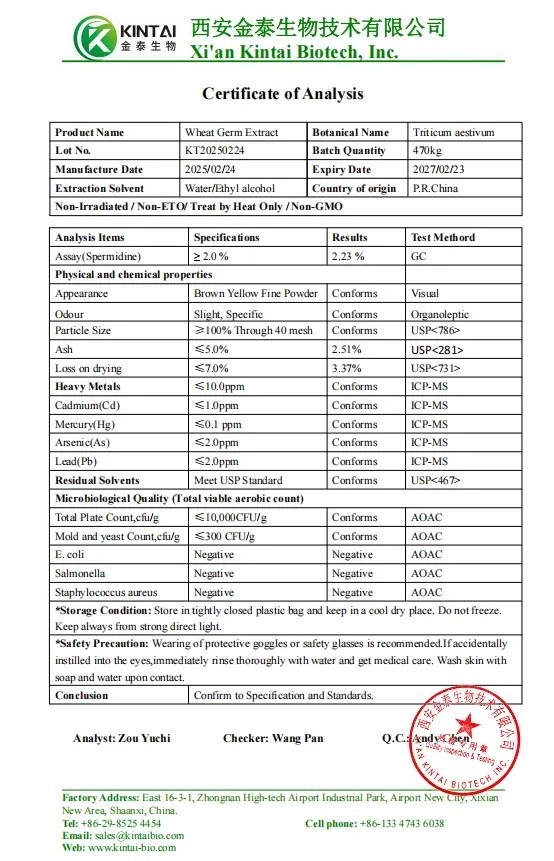 Wheat Germ Extract Powder factory Wheat Germ Extract Powder factory