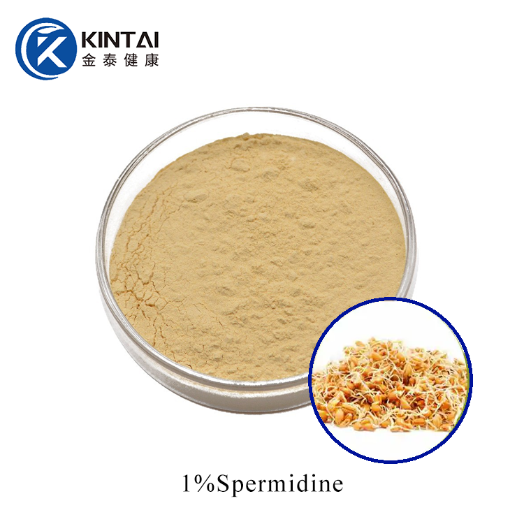 Trab tal-Estratt tal-Ġemgħa tal-Qamħ